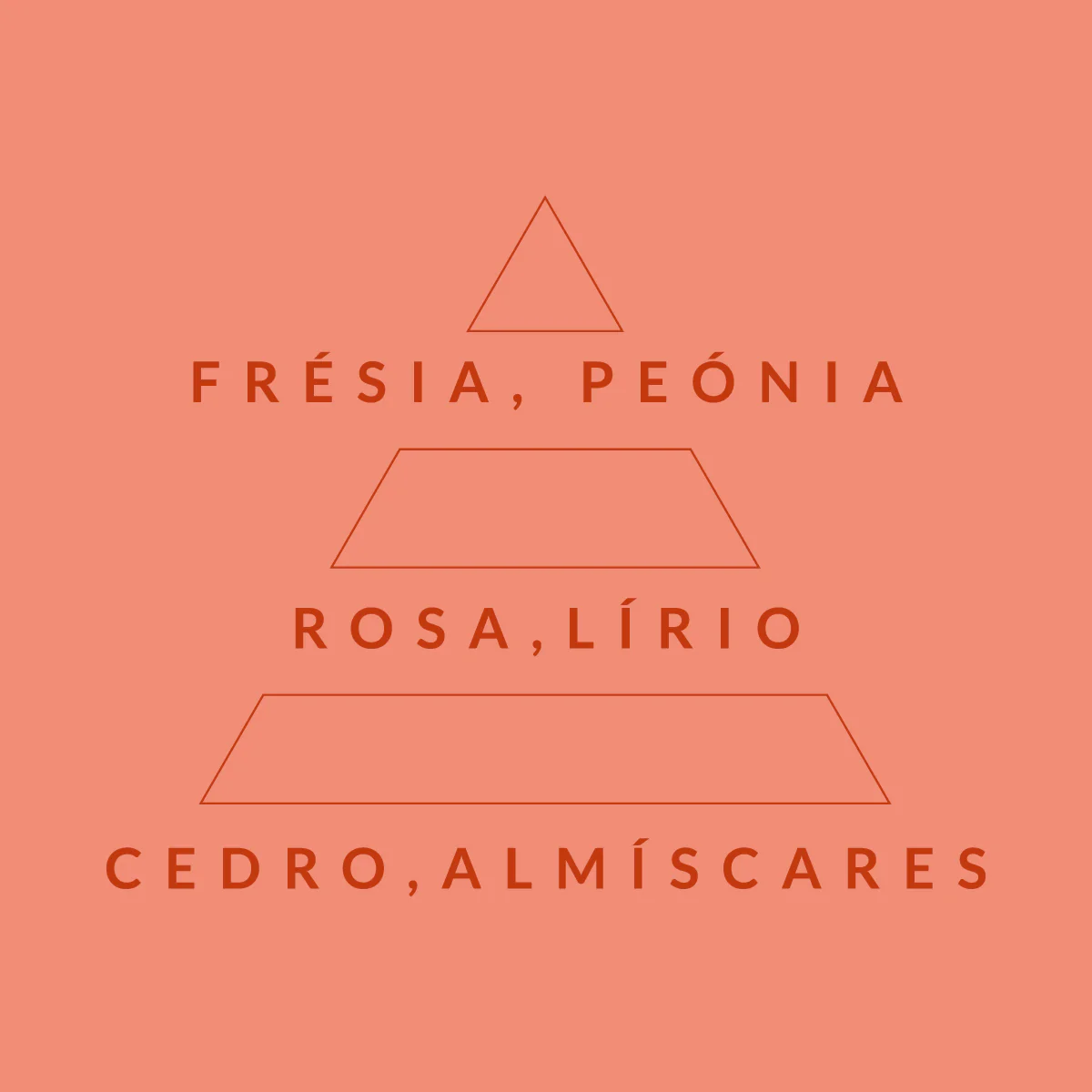 Imagem do produto 10