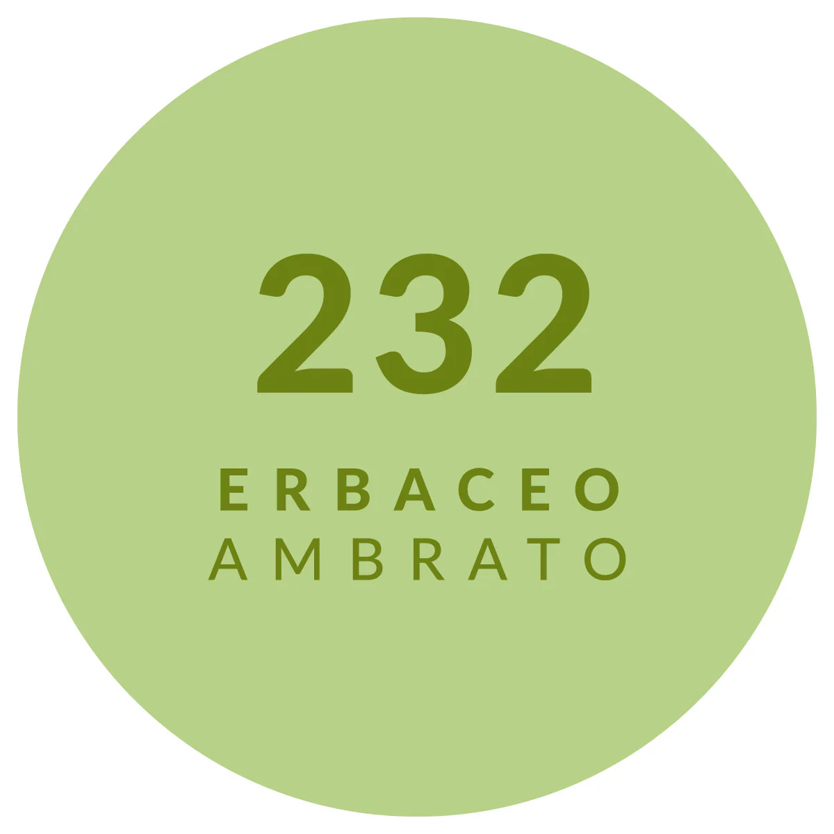 Imagem do produto 13